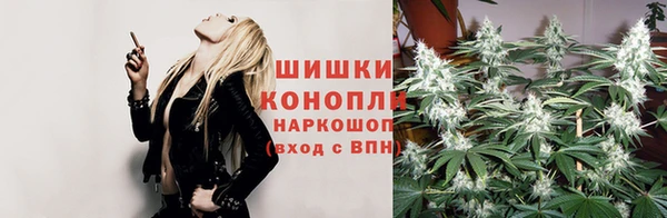 шишки Алзамай