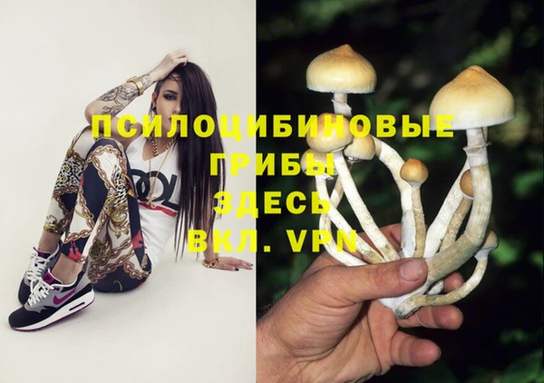 бошки Пересвет