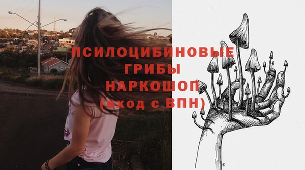 винт Алексеевка
